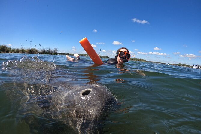 All-Inclusive Small Group Manatee Swim with Free Photos - The boat ride in Kings Bay: spotting, timing, and safety talk