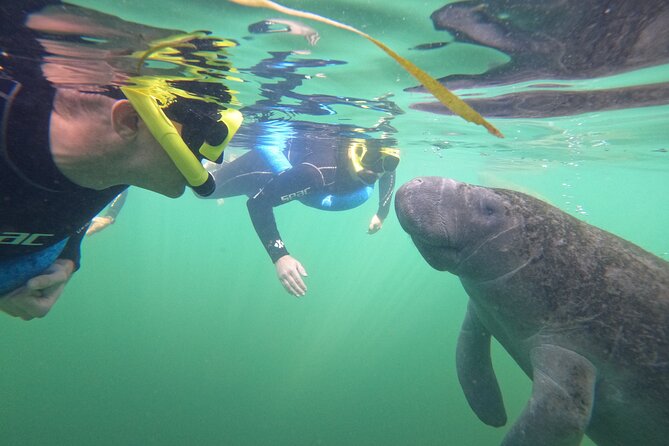 All-Inclusive Small Group Manatee Swim with Free Photos - Photos you’ll actually want to keep