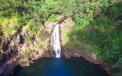 All Inclusive Ultimate Circle Island Tour, Waimea Falls & Lunch - Waikiki to Kapiolani Park: start easy, get oriented