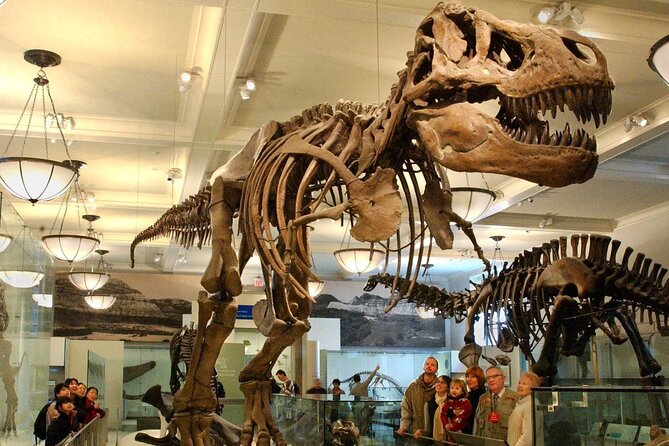 American Museum of Natural History Admission Ticket - AMNH Admission: What You’re Really Buying