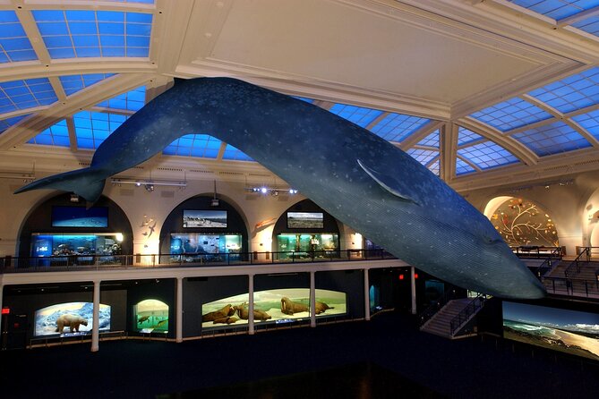 American Museum of Natural History Admission Ticket - What’s Included vs. What Costs Extra (Read This Part Carefully)