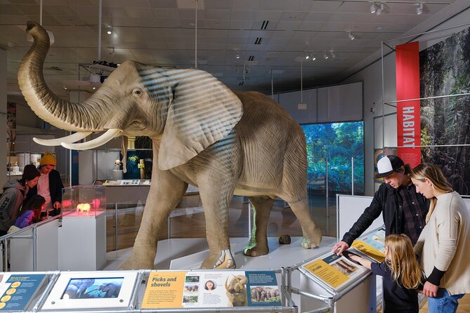 American Museum of Natural History Admission Ticket - The Food and Breaks: Don’t Ignore the Recharge