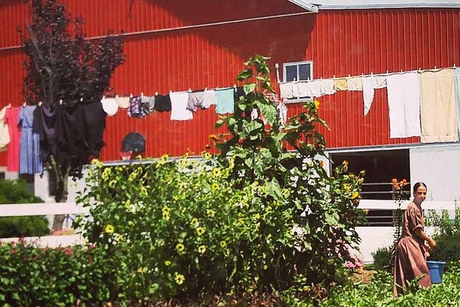 Amish Experience SuperSaver Package - The farmlands tour on a 14-passenger mini bus: what you actually get