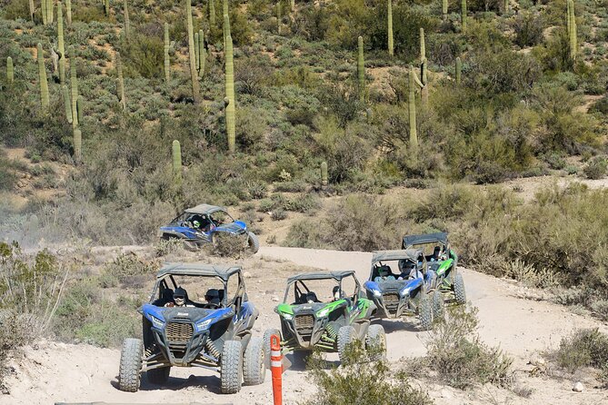 Ancient Ruins Tour - Guided Arizona Desert Tour by UTV - Key Things You’ll Notice on This UTV Ruins Tour