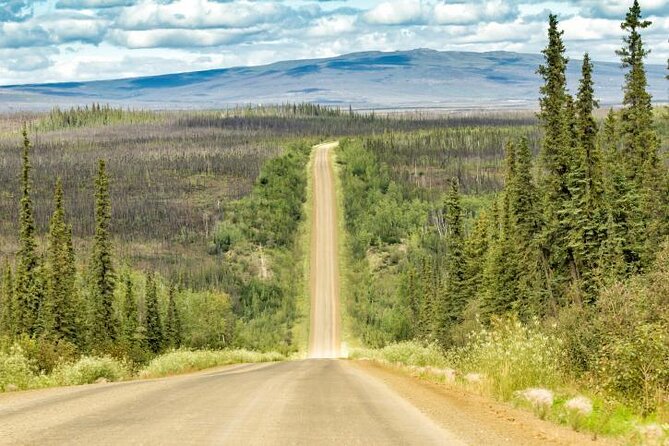 Arctic Circle Day Tour - Key tour highlights at a glance