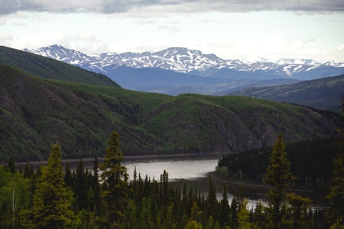 Arctic Circle Day Tour - The van ride on the Dalton Highway: comfort, timing, and the reality check