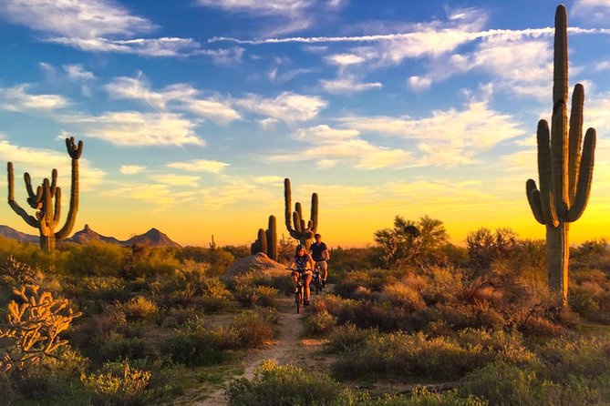 Arizona Desert Guided E-Bike Adventure - Key Things I’d Watch Before You Book