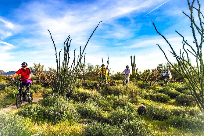 Arizona Desert Guided E-Bike Adventure - Sonoran Desert on Bosch and Yamaha: what makes this ride special