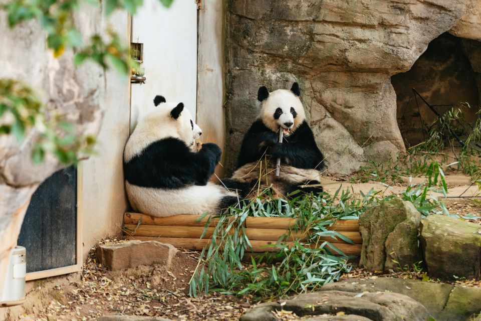 Atlanta: Zoo Atlanta General Admission Ticket - Wild Encounters and wildlife presentations: how you learn without reading a textbook