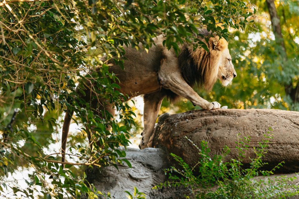 Atlanta: Zoo Atlanta General Admission Ticket - Indoors when it’s hot or rainy: Scaly Slimy Spectacular plus more
