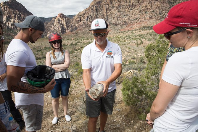 Award Winning Red Rock Canyon Tours - Group size, comfort, and the walking part you should not ignore