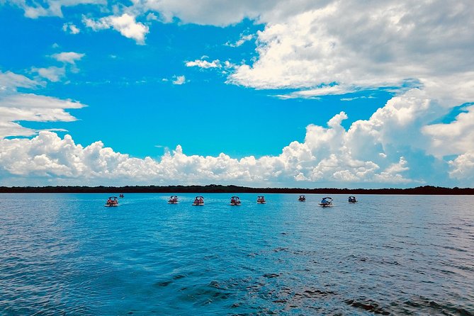 Backwater Adventure's CraigCat Tours of the 10,000 Islands - The island stop: a short beach break and quick shelling time