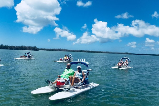 Backwater Adventure's CraigCat Tours of the 10,000 Islands - Who this tour is best for (and who might want a different option)