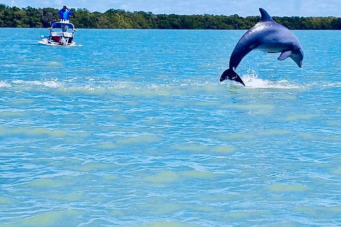 Backwater Adventure's CraigCat Tours of the 10,000 Islands - Practical logistics that can make or break your day
