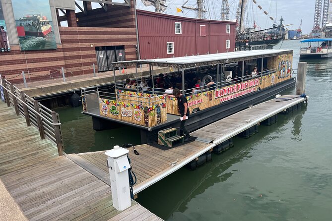 Baywatch Dolphin Tours – Pier 21 Galveston - Key highlights