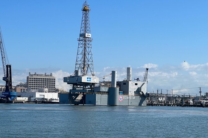 Baywatch Dolphin Tours – Pier 21 Galveston - Pier 21 to the dolphin spots: how the cruise actually plays out