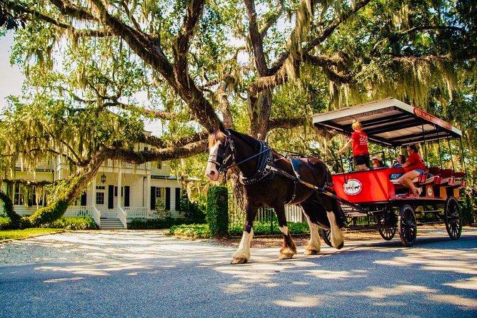 Beaufort’s #1 Horse & Carriage History Tour - Key highlights you’ll feel during the ride