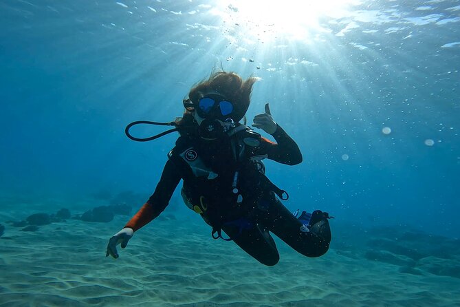 Beginner Scuba Diving Experience with Video Package in Honolulu - Pricing and Value: Why $77 Can Make Sense for Your First Try