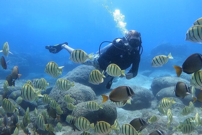 Beginner Scuba Diving Experience with Video Package in Honolulu - The Video Package: Your First Scuba Memory, Without Extra Hassle