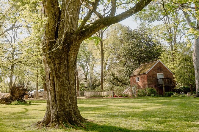 Belle Meade Guided Mansion Tour with Complimentary Wine Tasting - Price and what $33 buys you at Belle Meade