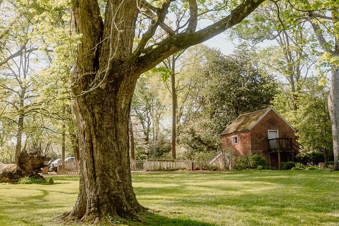 Belle Meade Guided Mansion Tour with Complimentary Wine Tasting - Horse farm time and bourbon tastings for extra flavor