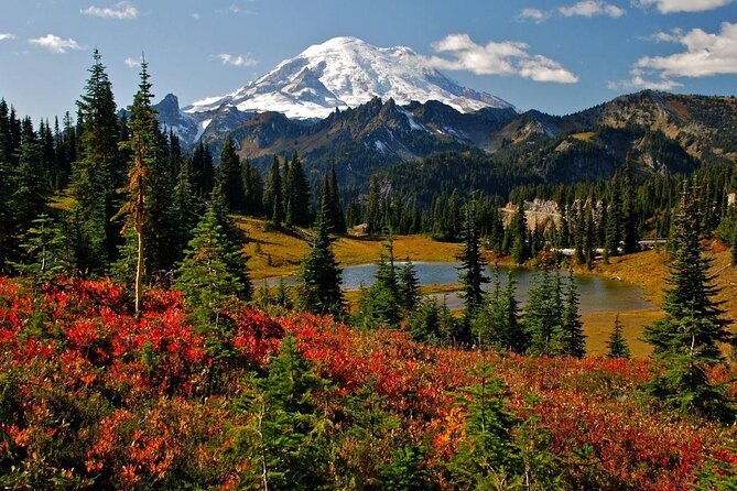 Best of Mount Rainier National Park from Seattle: All-Inclusive Small-Group Tour - Key Points at a Glance