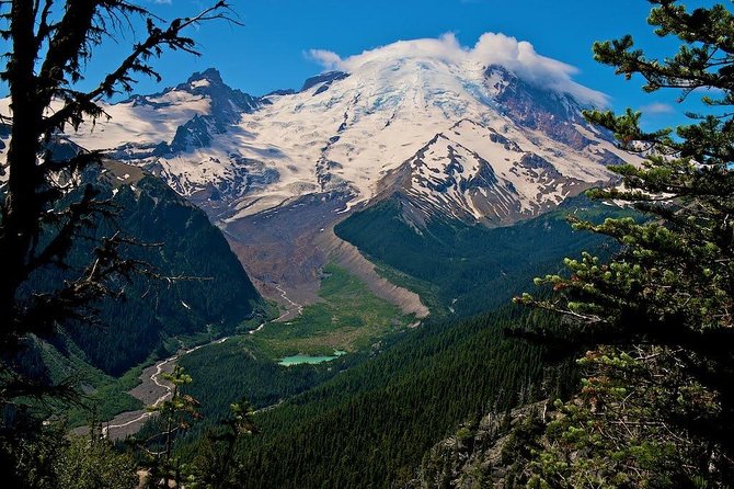 Best of Mount Rainier National Park from Seattle: All-Inclusive Small-Group Tour - Why This Seattle-to-Rainier Day Trip Works So Well