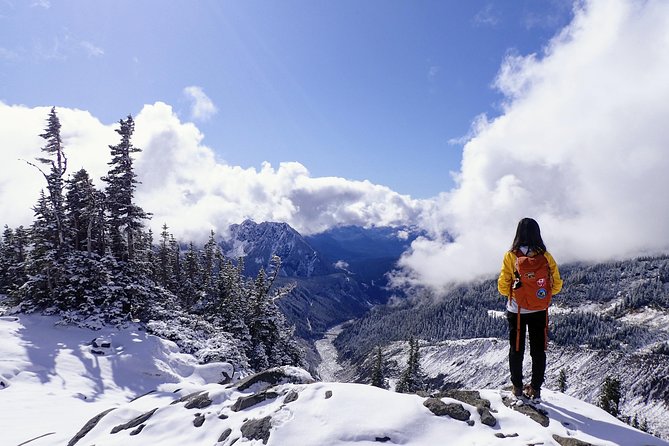 Best of Mount Rainier National Park from Seattle: All-Inclusive Small-Group Tour - First Steps in the Longmire Area: Forests, Water, and Big Views