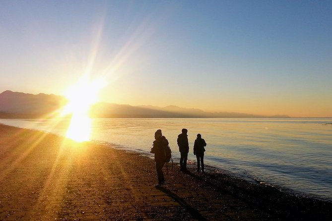 Best of Olympic National Park from Seattle: All-Inclusive Small-Group Day Tour - Elwha River Ecosystem and Dam Removal: A Big Planet-Earth Story