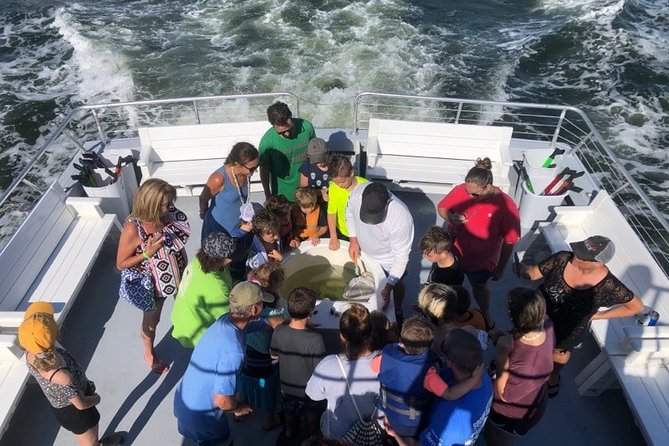 Big Fun Dolphin Cruise & Sealife Experiece ORANGE BEACH ALABAMA - Orange Beach Dolphin Cruise on the Fun Boats: What the 2 Hours Feels Like