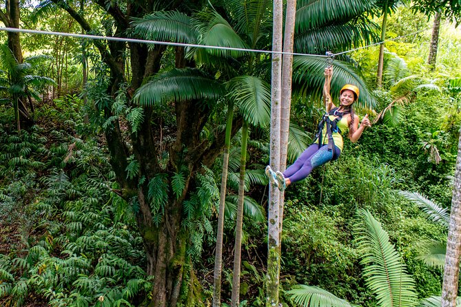 Big Island: 8-Zipline & Suspension Bridge Waterfall Adventure - Key things I think you’ll care about