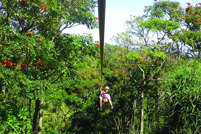 Big Island: 8-Zipline & Suspension Bridge Waterfall Adventure - Eight Ziplines and a Suspension Bridge Over Big Island Rainforest
