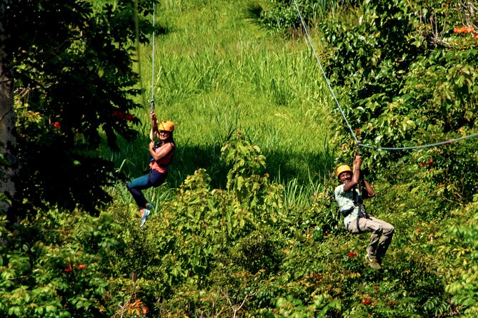 Big Island: 8-Zipline & Suspension Bridge Waterfall Adventure - The Eight Zip Lines: Longer, Faster, and Built to Progress