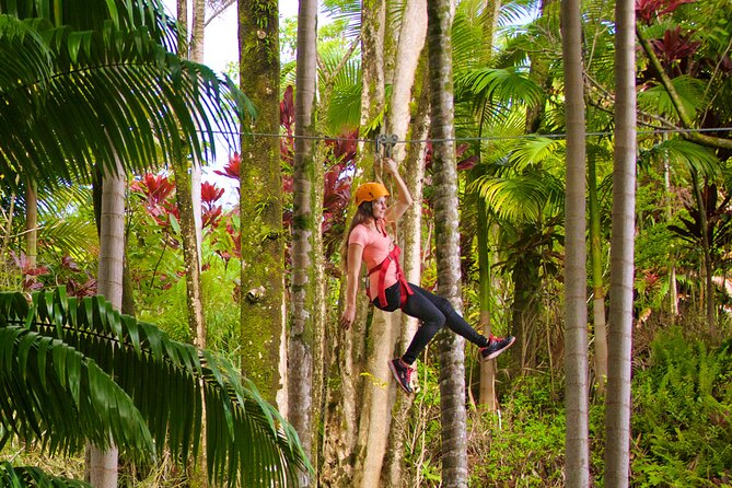 Big Island: 8-Zipline & Suspension Bridge Waterfall Adventure - After the Zips: Botanical Gardens, Rainforest Trails, and the Living Maze