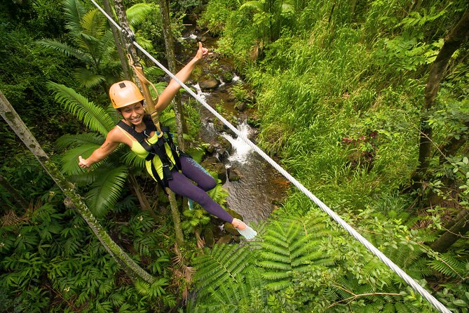 Big Island: 8-Zipline & Suspension Bridge Waterfall Adventure - Price and Value: What $237.70 Really Buys You