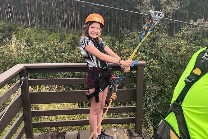Big Island: 9-Line Waterfall Zipline Experience - The actual course: 9 lines over treetops, waterfalls, and rivers