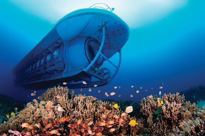 Big Island: Atlantis Submarine from Kona Beach - Shipwreck sightings and why the narration matters at sea level