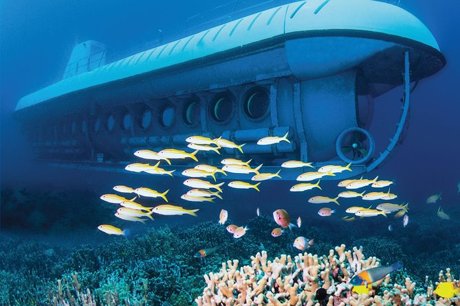 Big Island: Atlantis Submarine from Kona Beach - Price and value: is $160.41 worth it?