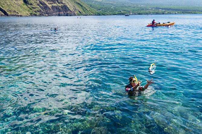 Big Island: Captain Cook Snorkel On A Power Catamaran With Lunch - Kealakekua Bay: where history and reef life happen in the same morning