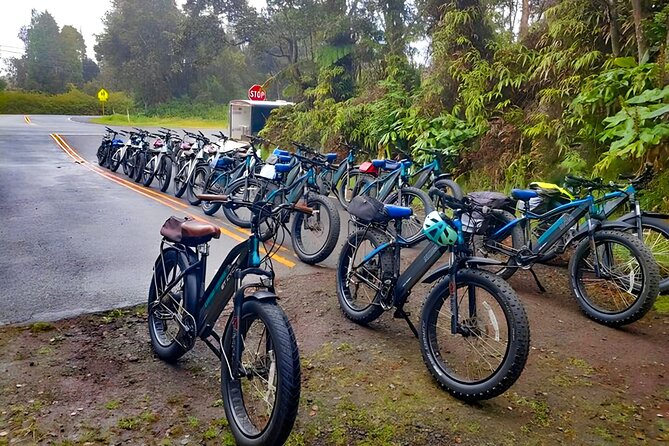 Big Island: Fat Tire E-Bike Tour through Volcanoes National Park - Lava tube and short walks: when you’ll park the bike and stretch