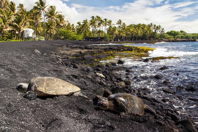 Big Island Highlights: Coffee, Volcano, Black Sands & Waterfall - Quick hits you’ll feel all day