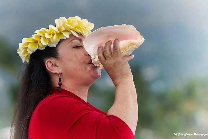 Big Island Historical Dinner Cruise to Kealakekua Bay - Key things that make this cruise worth your time