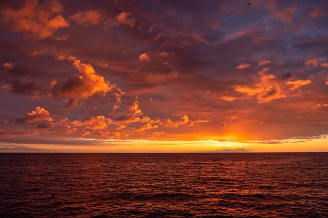Big Island Historical Dinner Cruise to Kealakekua Bay - Live music and the historian: what the onboard show is really like