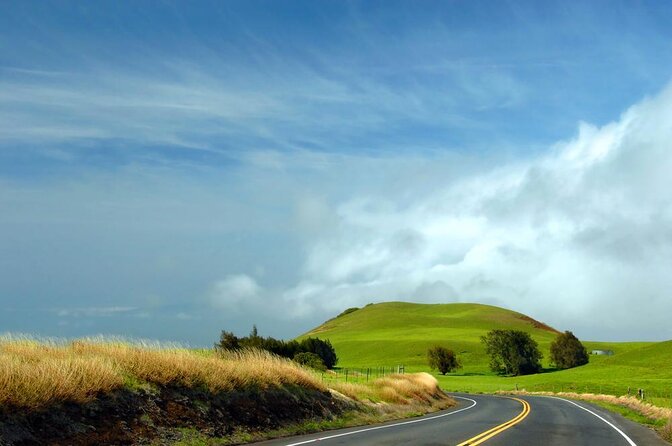 Big Island Kohala Canopy Zipline Adventure - Key Points You’ll Care About