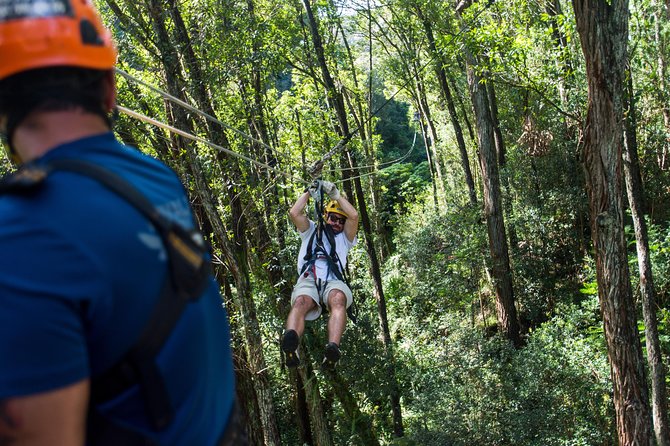 Big Island Kohala Canopy Zipline Adventure - What Makes the Course Special: Quiet Zips and Real Bridge Crossings