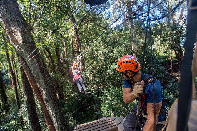 Big Island Kohala Canopy Zipline Adventure - Your Rough Itinerary in the Real World (Stop 1: Kohala)