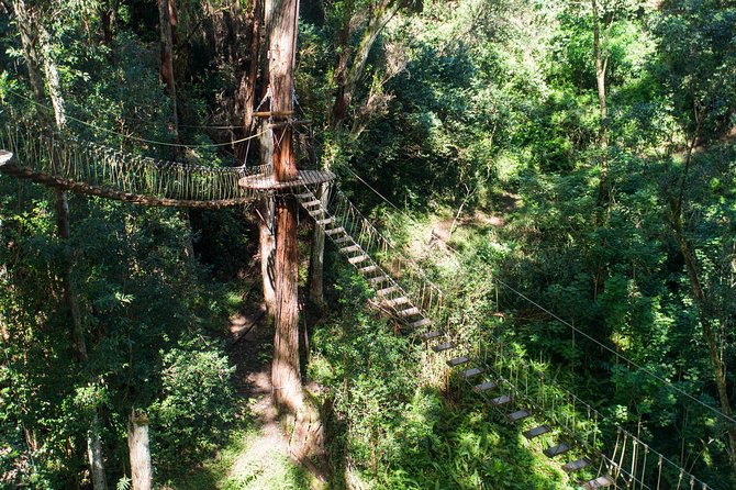 Big Island Kohala Canopy Zipline Adventure - Weight Limits and Health Notes You Should Not Ignore
