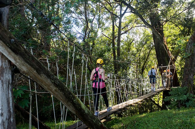 Big Island Kohala Canopy Zipline Adventure - Kids, Families, and Couples: Who Enjoys This the Most