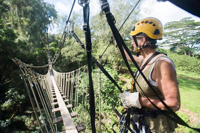 Big Island Kohala Canopy Zipline Adventure - Certified Guides Keep the Whole Day Feeling Under Control
