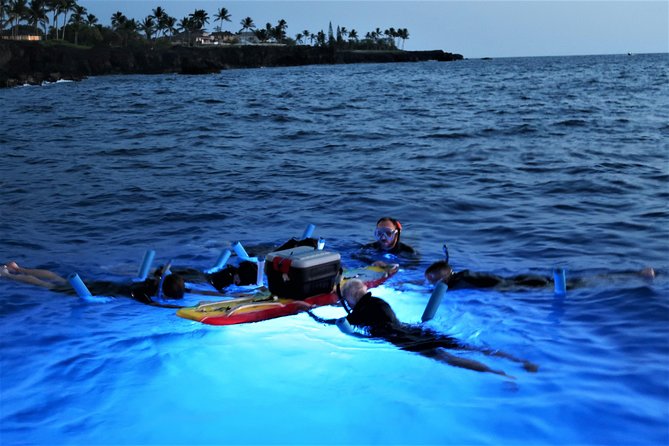 Big Island: Kona Manta Ray Snorkel Tour in Keauhou Harbor - The Manta Ray Guarantee: How It Changes the Risk